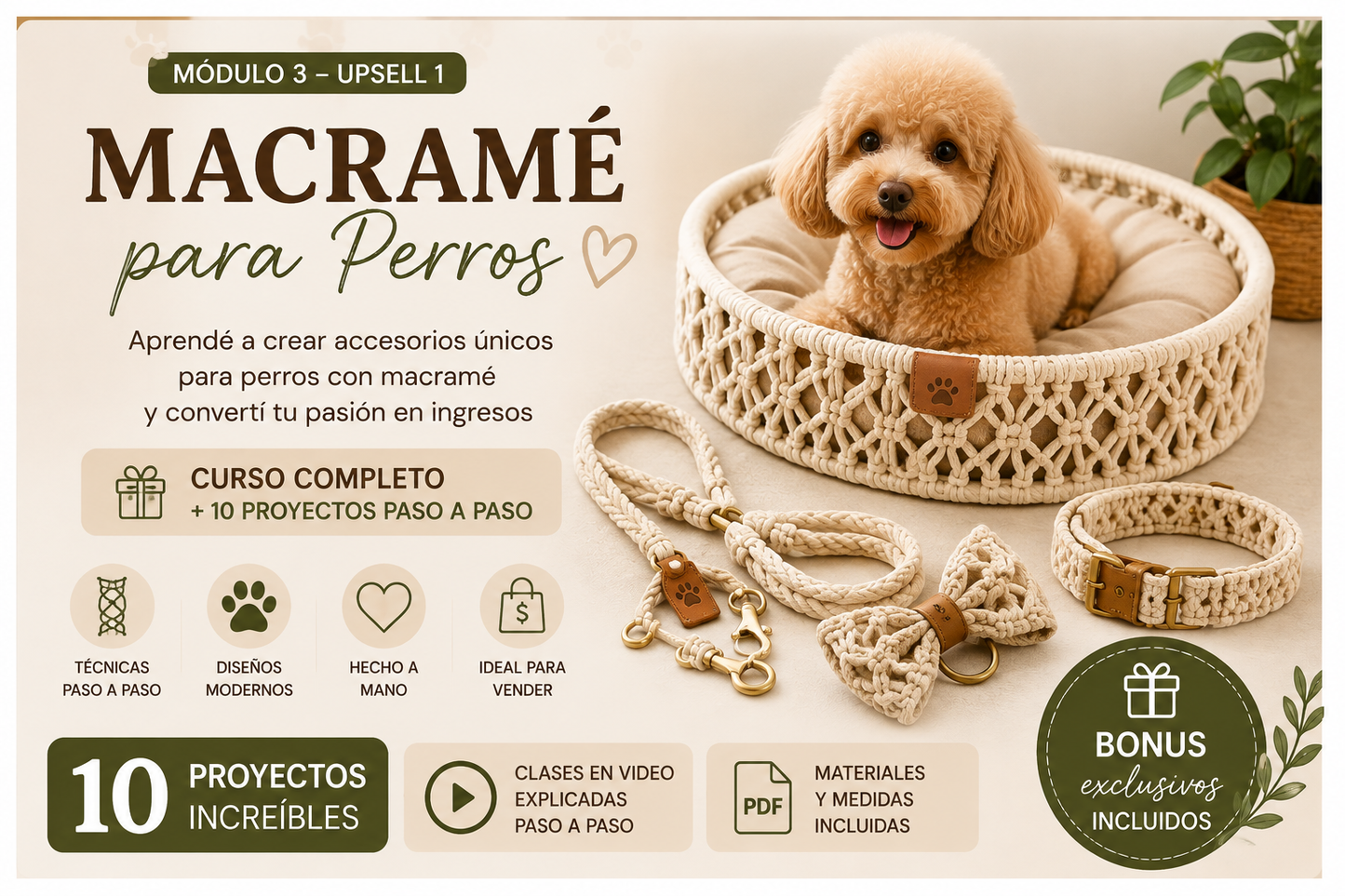 Macramé para Perros 🐾 | 10 Proyectos Paso a Paso